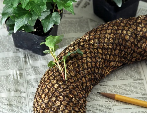 DIY Indoor Plant Wreath 
