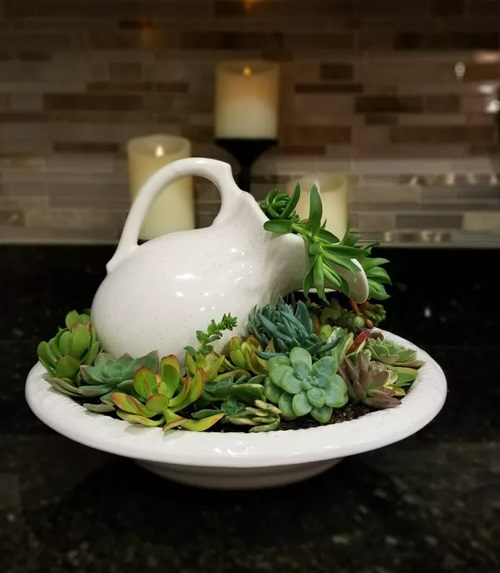 Succulent Garden From Unusual Items Basin Full of Succulents