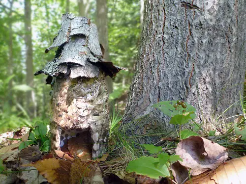 diy Pixie Tower for Frogs