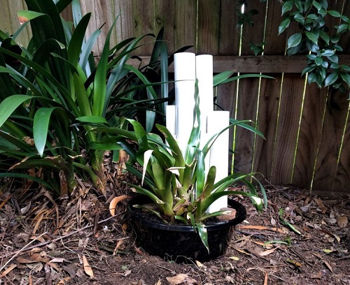 DIY Frog Hotel in a Pot