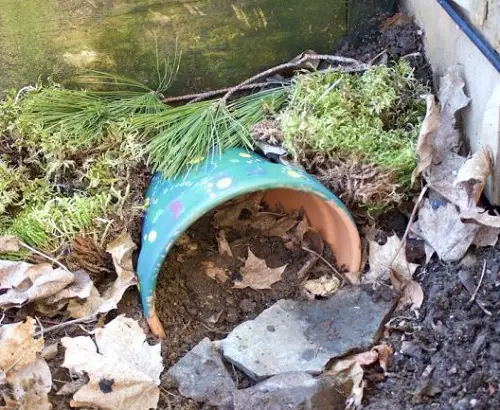 DIY Frog Terra Cotta Pot Toad House 13