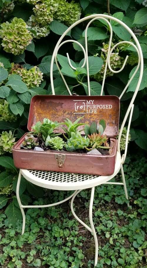 Vintage Toolbox for Succulents