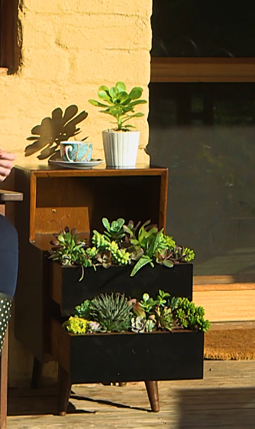 Succulent Garden in Drawers