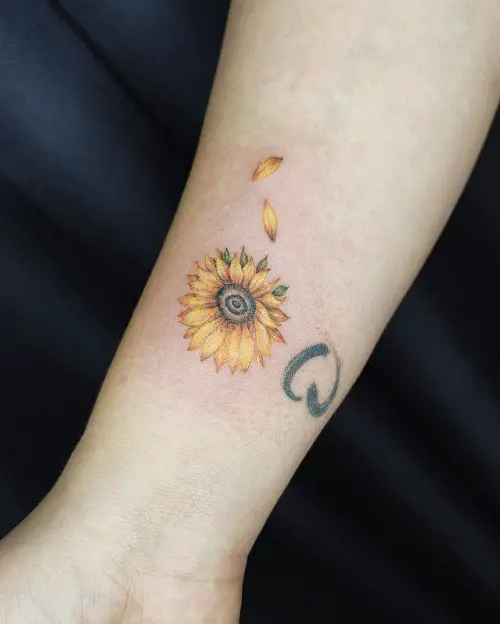Small Withering Sunflower