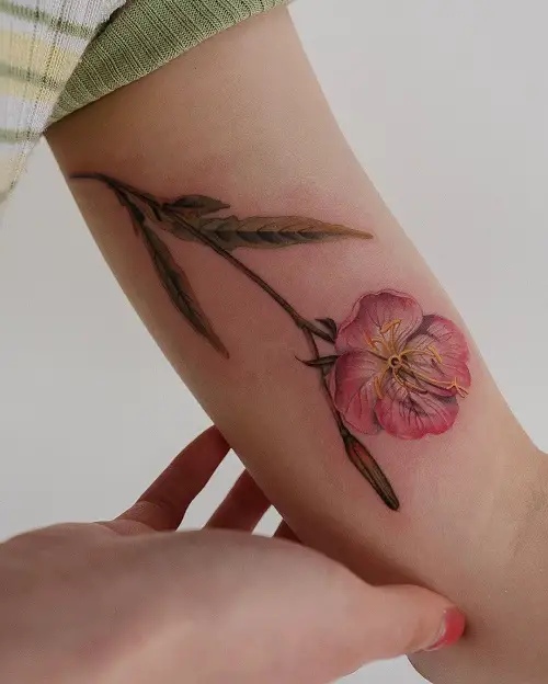 Realistic Evening Primrose Ink February Birth Flower
