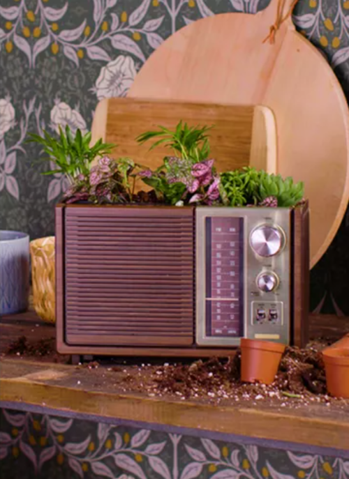 Vintage Radio for a Succulent Garden