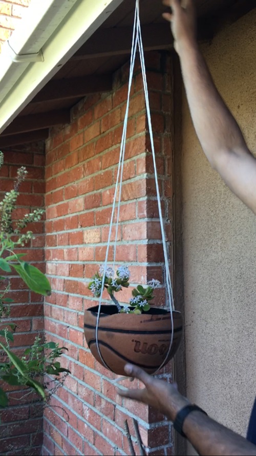 Basketball Hanging Succulent Garden