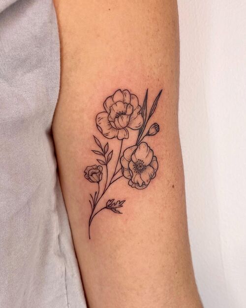 Poppy on the Arm