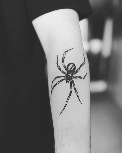 Black and White Spider on Arm