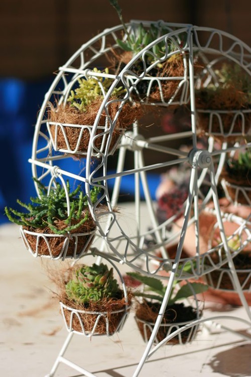 Mini Ferris Wheel for Succulents