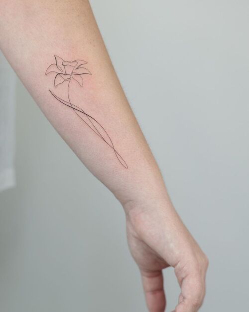 Narcissus Flower Tattoo Minimalistic Narcissus Scribble