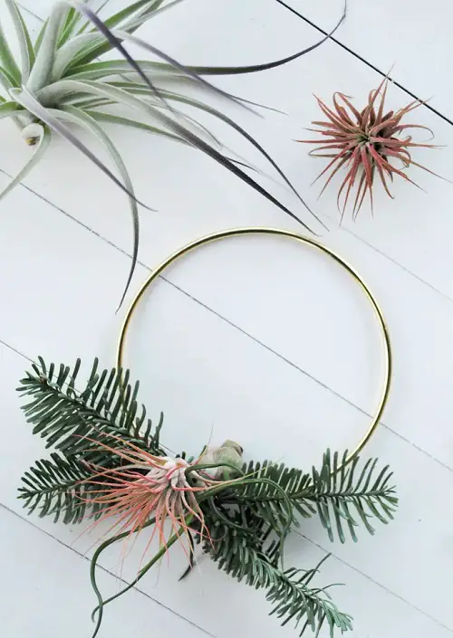 DIY Metal Ring Wreath with Air Plants