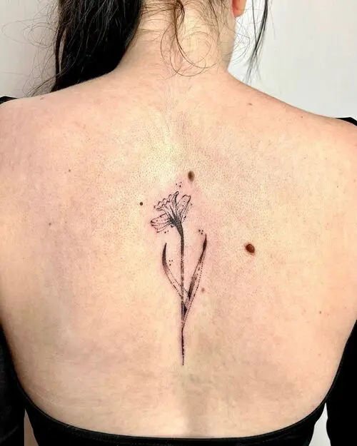 Line Texture Narcissus Bloom on the Spine