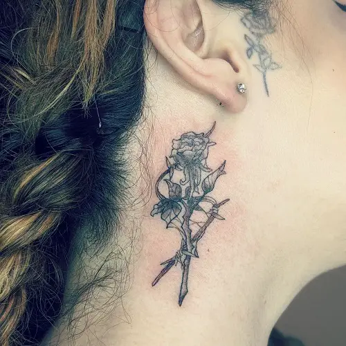 Rose with Webs