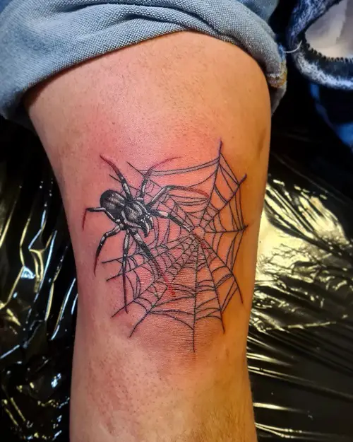Spider with Webs