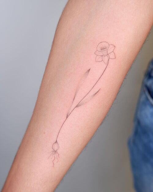 Simple Daffodil Flower