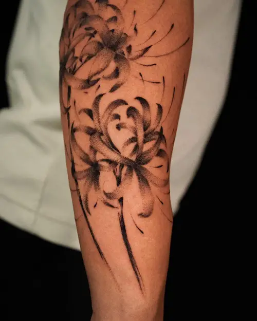 Black and Grey Spider Lilies