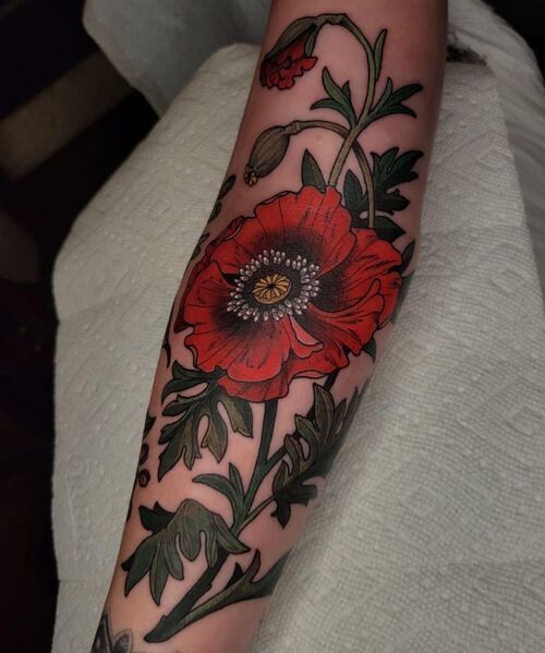 Traditional Red Poppy Ink