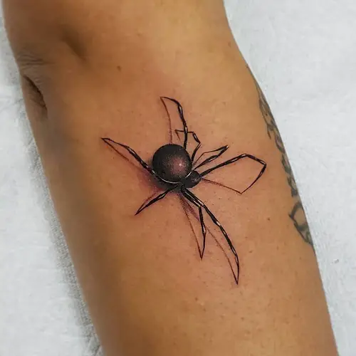 Realistic Black Widow Spider on Body