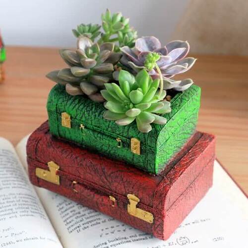 Miniature Suitcase Garden for Succulents