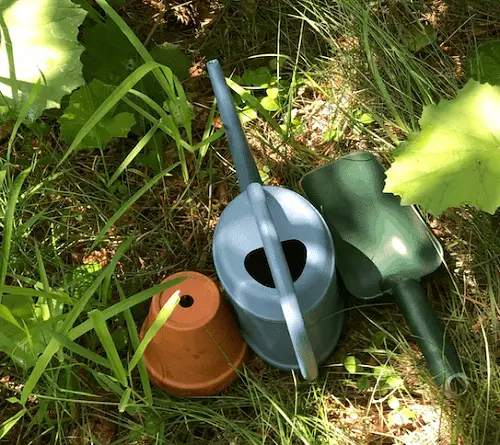 DIY Frog and Toad House Idea