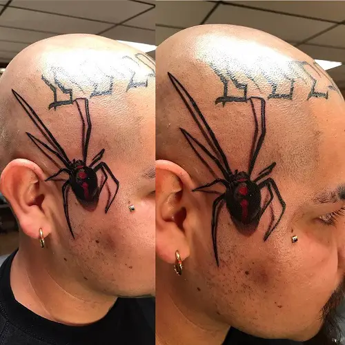Black Widow Ink on Head