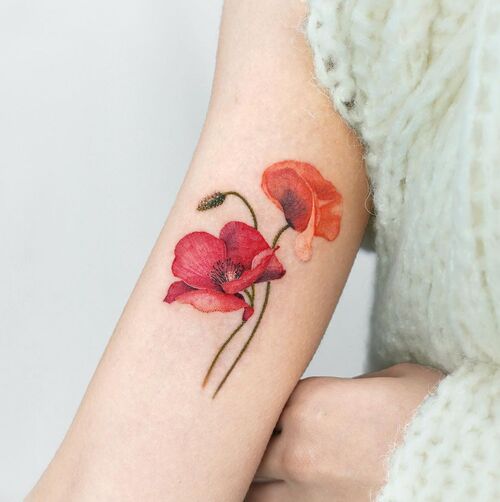 Red and Orange Poppy Pair