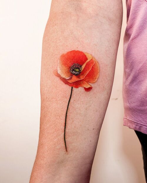 Intricate Orange Poppy Flower