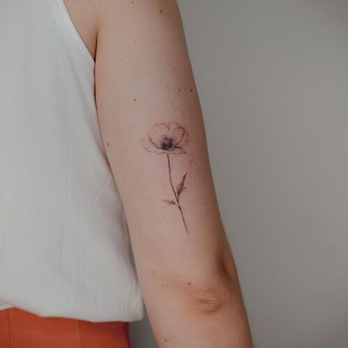 Small Poppy on Arm tattoo
