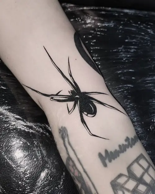 Spider on the Forearm
