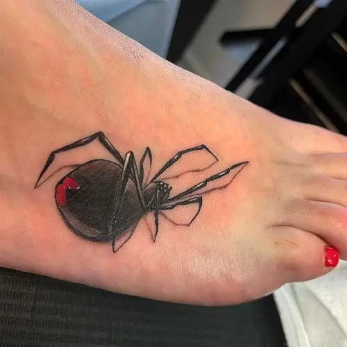 Small Black Widow Spider on Foot