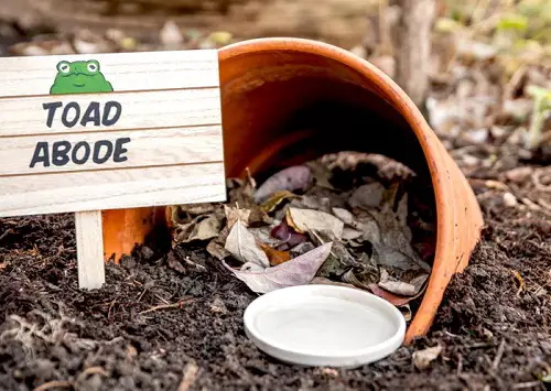 Frog and Toad House for Garden