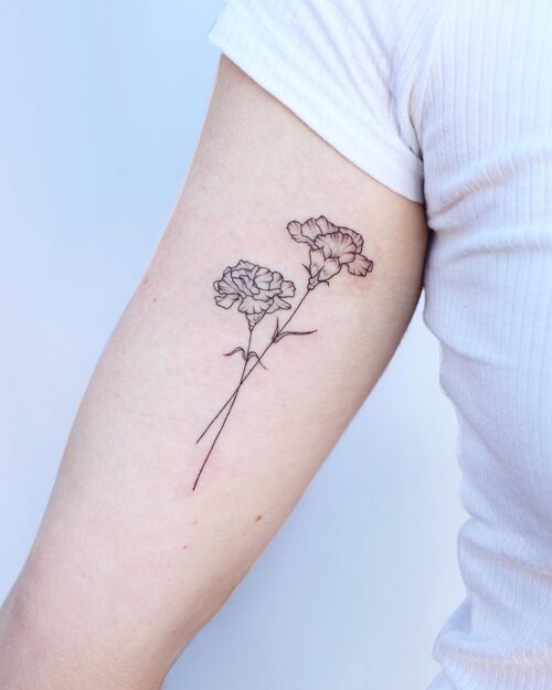 January Birth Flower Carnation
