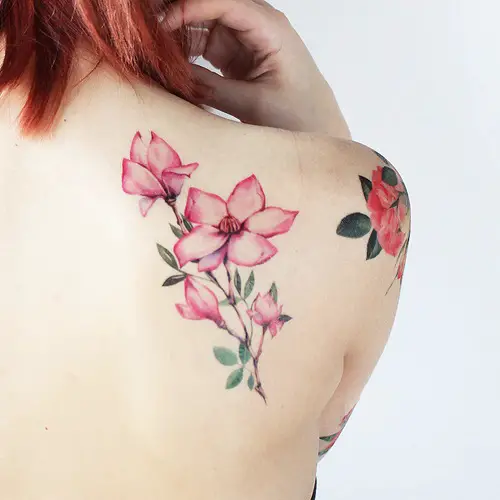 Pink Magnolias on the Back