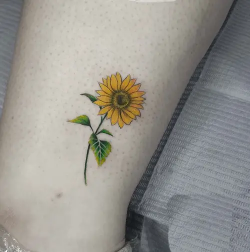 Small Yellow Sunflower