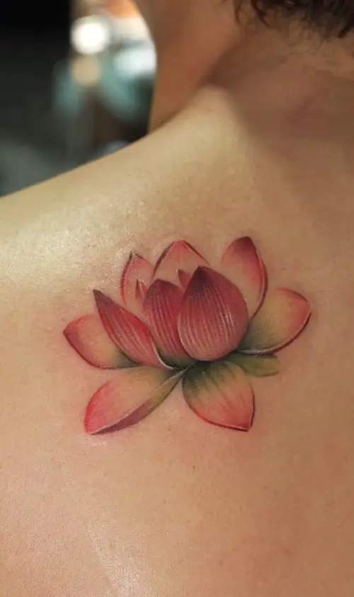 Delicate Pink Lotus Flower Tattoo