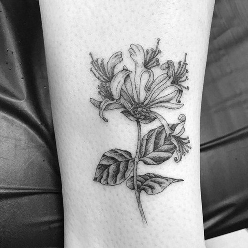 Black and White Honeysuckle Ink