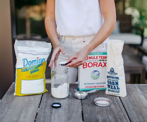 Boric Acid and Sugar Bait