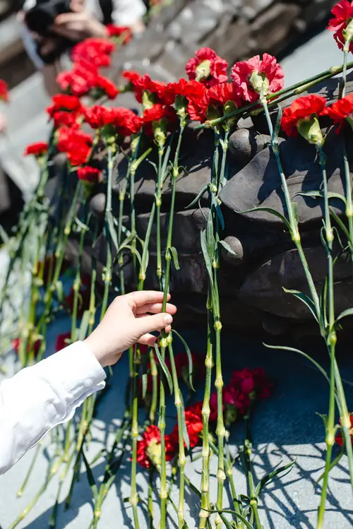 Carnation Flowers for Graves