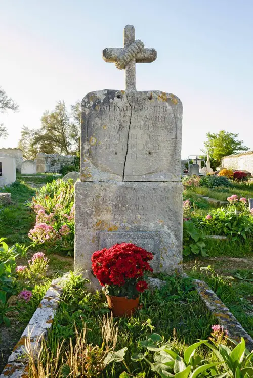 Chrysanthemums Flowers for Graves
