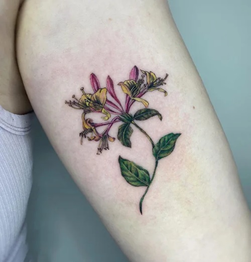 Colored Honeysuckle Design tattoo