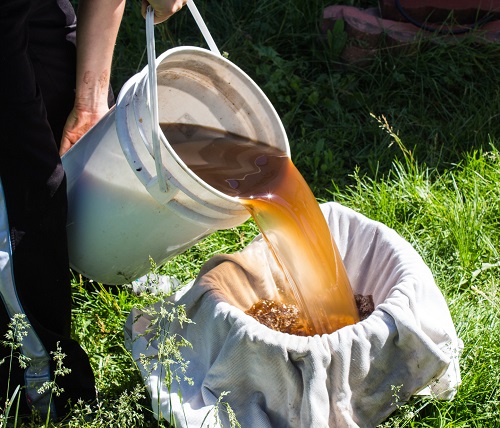 Christmas Cactus Fertilizers Compost Tea