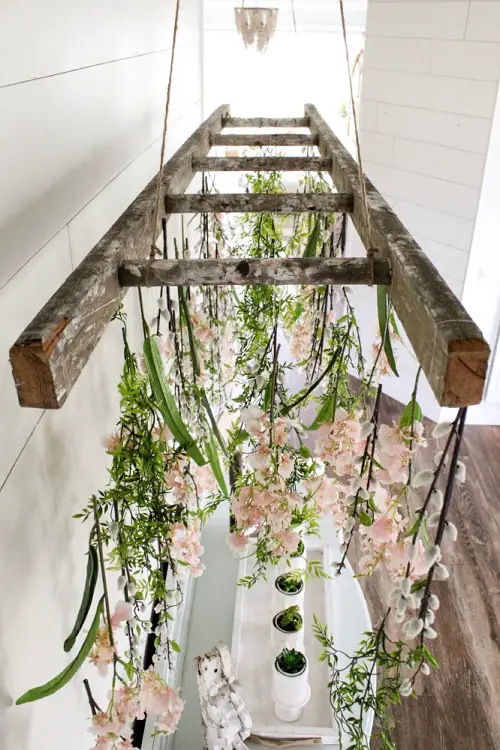 plant hanger indoors 7