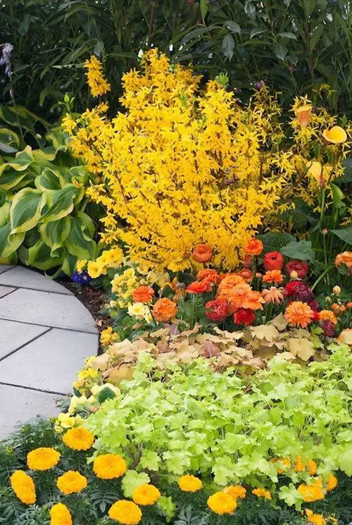 Create a Slug Friendly Area to Prevent Slugs and Snails in the Garden 21