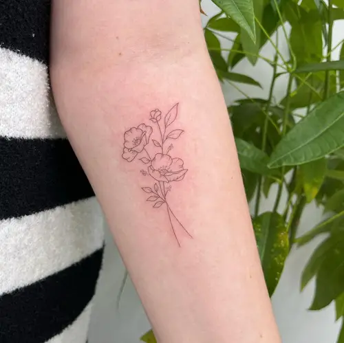 Delicate Poppy Flowers
