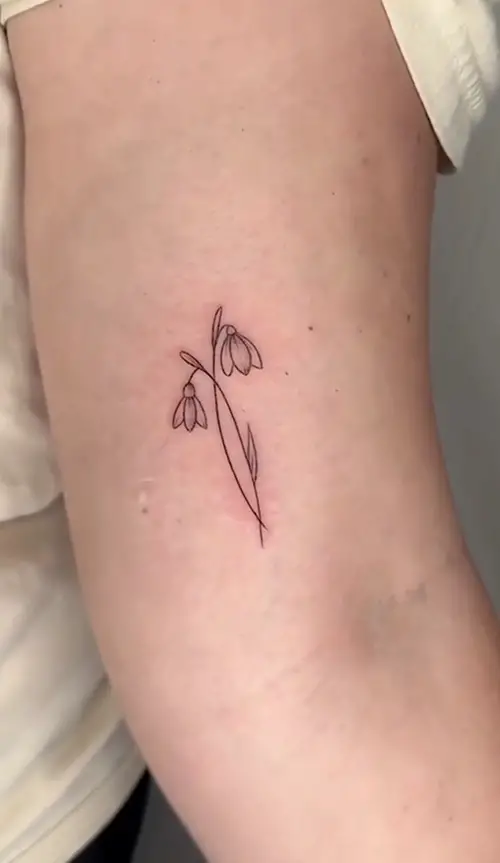 Delicate Snowdrop January Birth Flower
