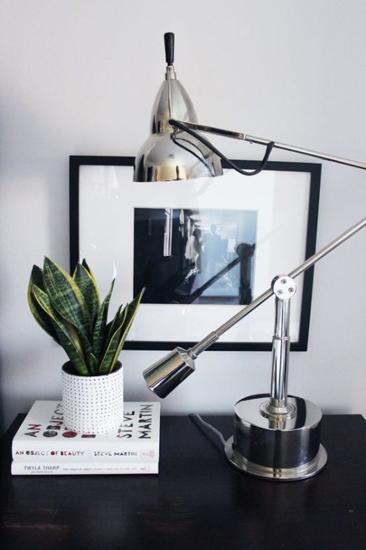 snake plant On a Reading Table