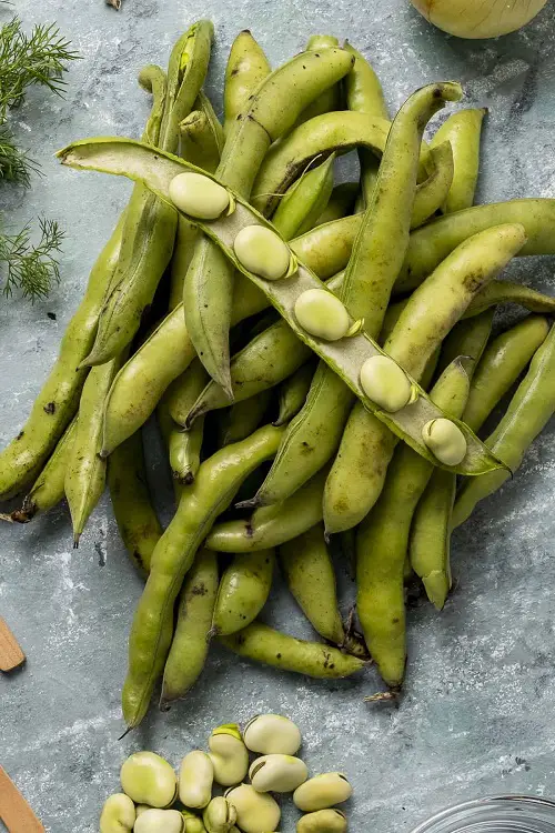 best Vegetables that Start with 'B'