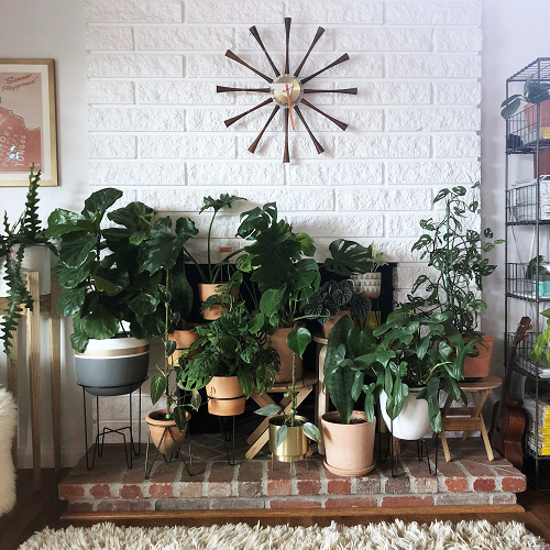Best Ideas to Provide Warmth to Plants in Winter
