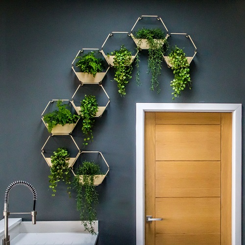 Hive Style Modular Vertical Garden